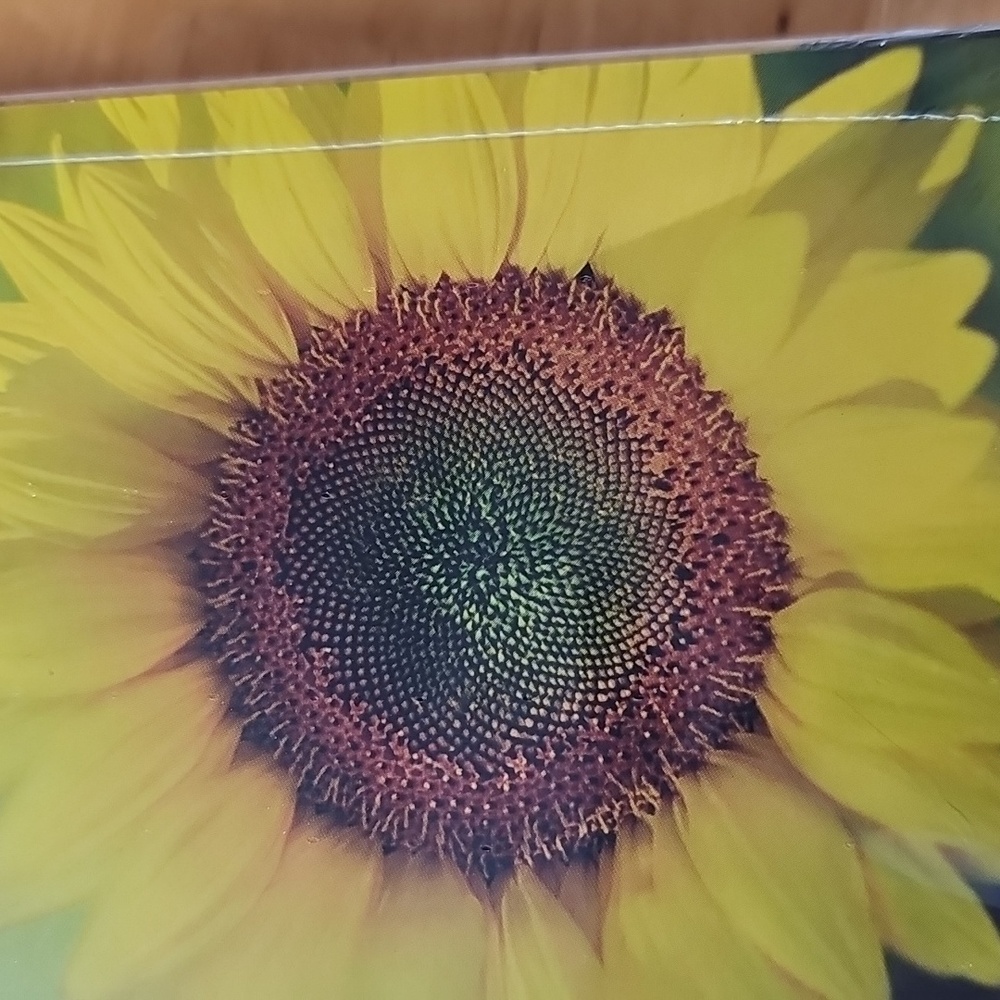 NIP 8 Hallmark Sunflower Note Cards - Picture 4 of 7